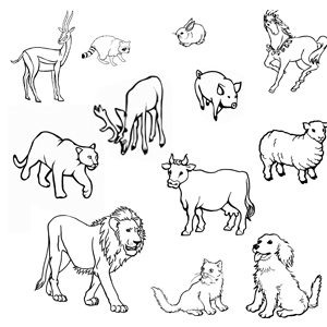 desene de colorat desene animate